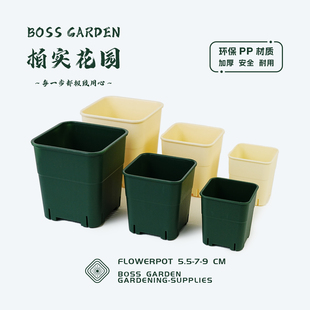 柏实花园PP材质小花盆高品质方盆加厚多肉花盆种植育苗播种盆