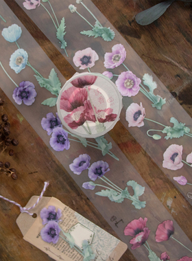 ChickTracks&台湾乐意Loidesign PET白墨胶带-沃香 整卷 分装