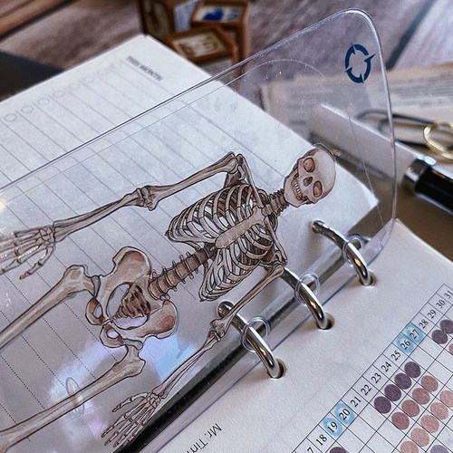 自由日期todo透明尺Franklin