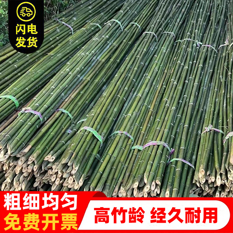 竹竿支撑杆竹竿菜园搭架豆角黄瓜爬藤架彩旗旗杆丝瓜番茄架子竹竿