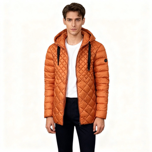 V2484任3件包邮外贸欧美单男士休闲棉衣冬季新款连帽宽松棉服