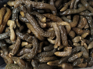 海宁特产云楼酱菜小青瓜散装10千克腌制酱瓜小黄瓜疙瘩餐饮小吃