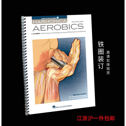 实体音乐谱HarmonicaAerobics