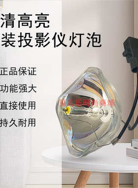 原装全新EPSON爱普生投影机/仪EB-CS510XN EB-CS500WN灯泡ELPLP60