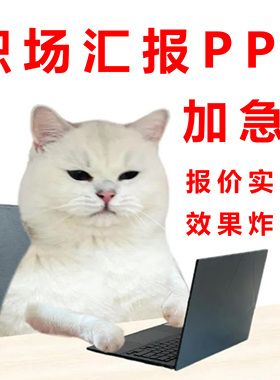 ppt定制代做美化修改帮做工作汇报总结述职动画专业设计产品演讲