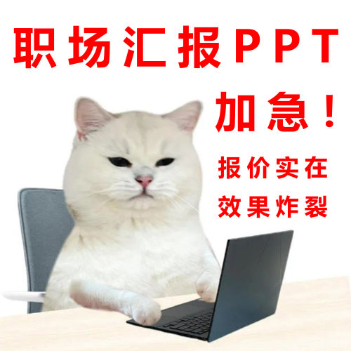 ppt定制代做美化修改帮做工作汇报总结述职动画专业设计产品演讲