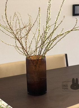 insfeng雪柳进口鲜切花枝家居室内森林系水养清新绿植