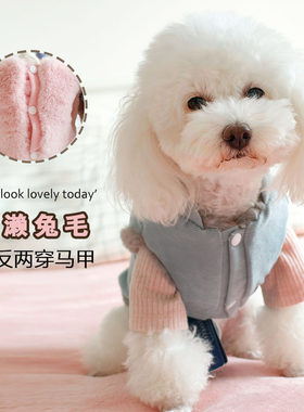 宠物狗狗衣服马甲两件套泰迪