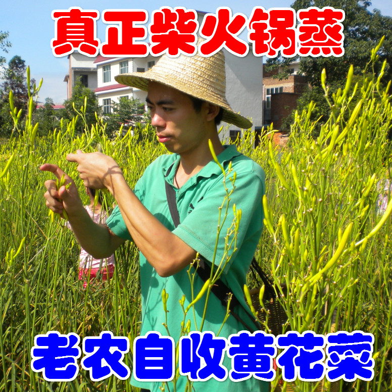 农家黄花菜干货250g湖南土特产无硫祁东自家金针菜忘忧草柴火锅蒸