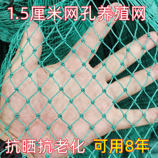 小孔加粗养殖网防鸟网尼龙网养鸡网围栏网护栏网渔网拦乒乓球绿网