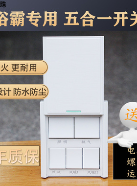 浴霸开关集成吊顶暖风机86型五开卫生间浴室排气扇照明一体五合一