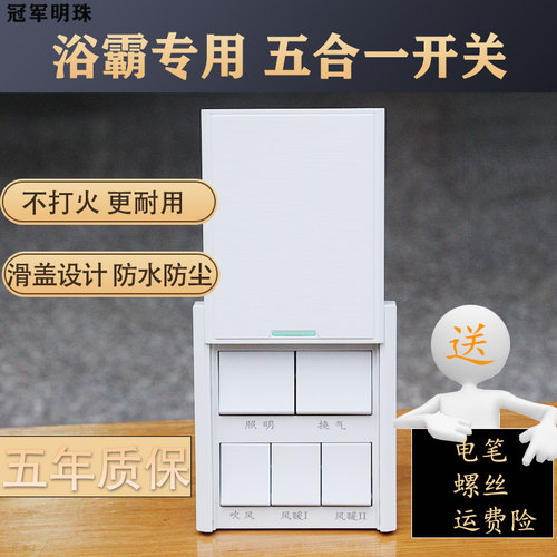 浴霸开关集成吊顶暖风机86型五开