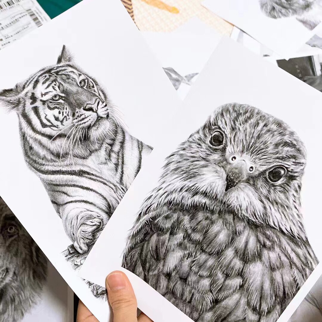 素描精微动物大幅素描作品临摹卡片创意动物素描练习卡片