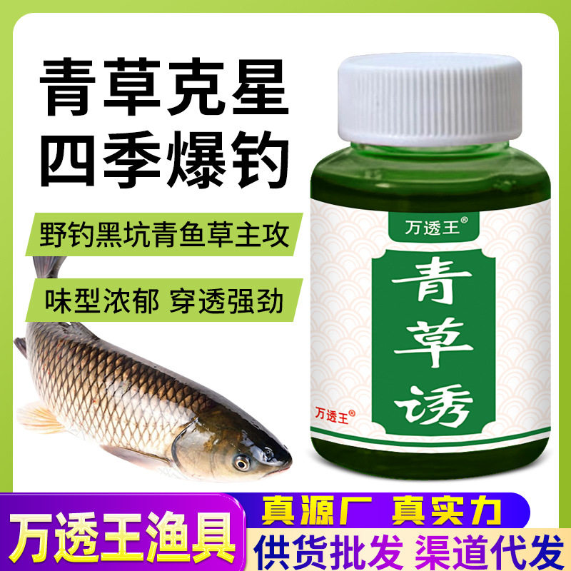 万透王青草诱食剂青鱼草鱼鲫鲤钓鱼小药鱼饵打窝料开口添加剂主播