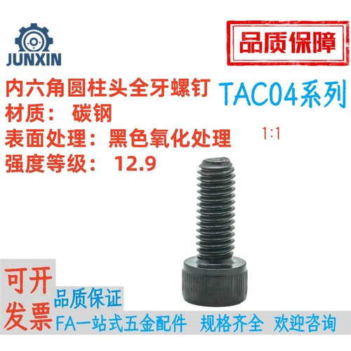 加长内六角全螺纹螺钉TAC04