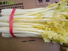空心马家沟芹菜山东青岛平度产芹菜心方便酒店用9元一斤