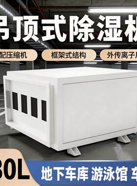 除湿机工业商用地下室大功率抽湿