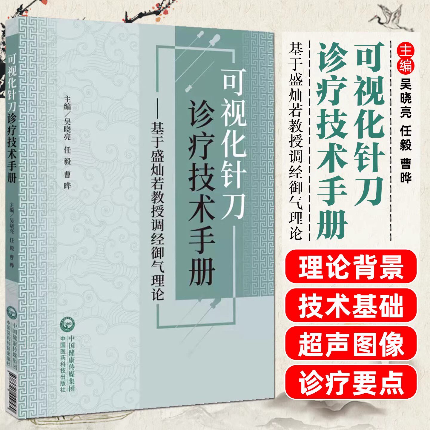 可视化针刀诊疗技术手册基于盛灿若教授调经御气理论江苏省中医院可视化针刀技术将肌骨超声针刀技术相结合解决颈肩腰腿痛神经系统