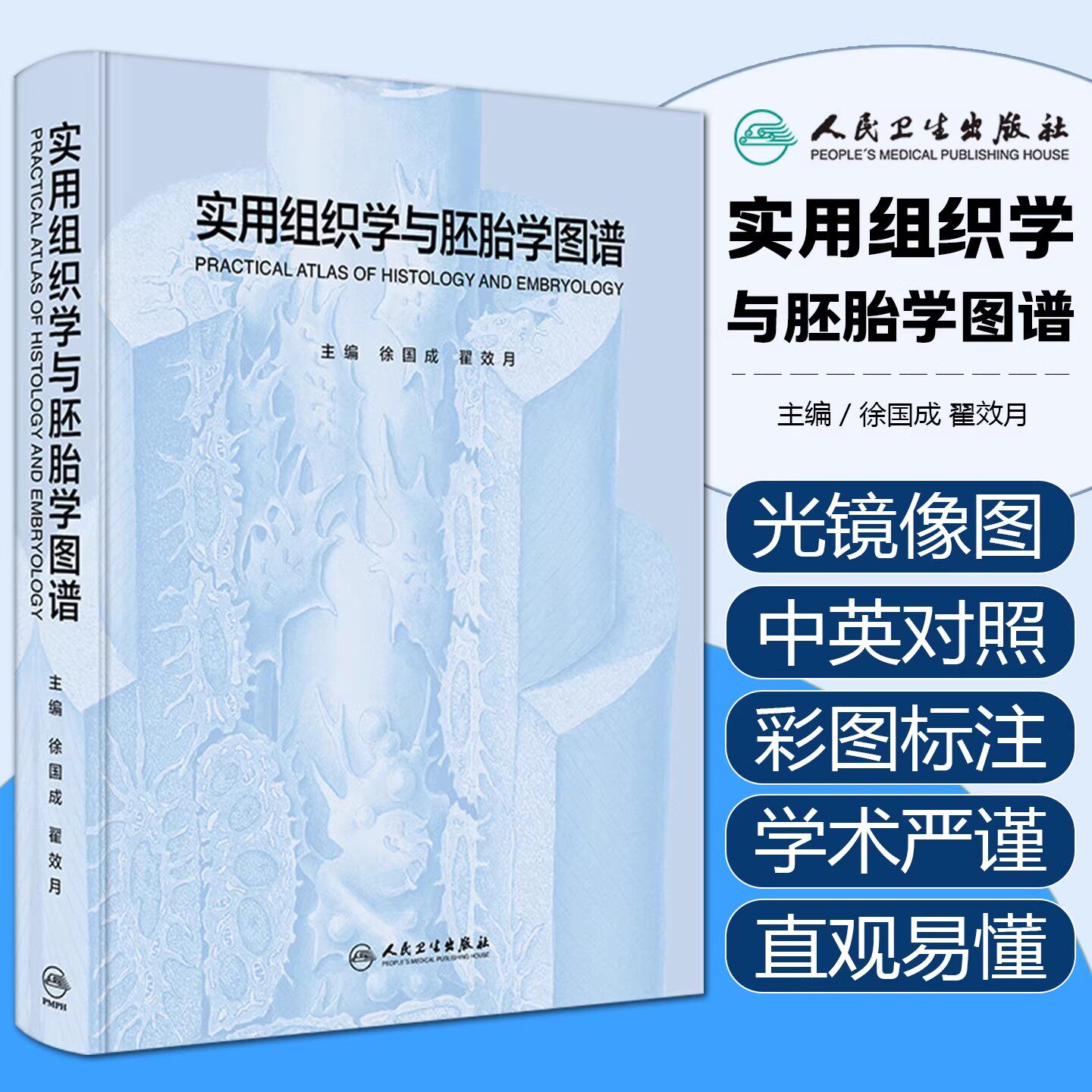 实用组织学与胚胎学图谱 徐国成翟效月病理图像全彩手绘教材奈特局部临床医学教学人体解剖学彩色图谱人民卫生出版社