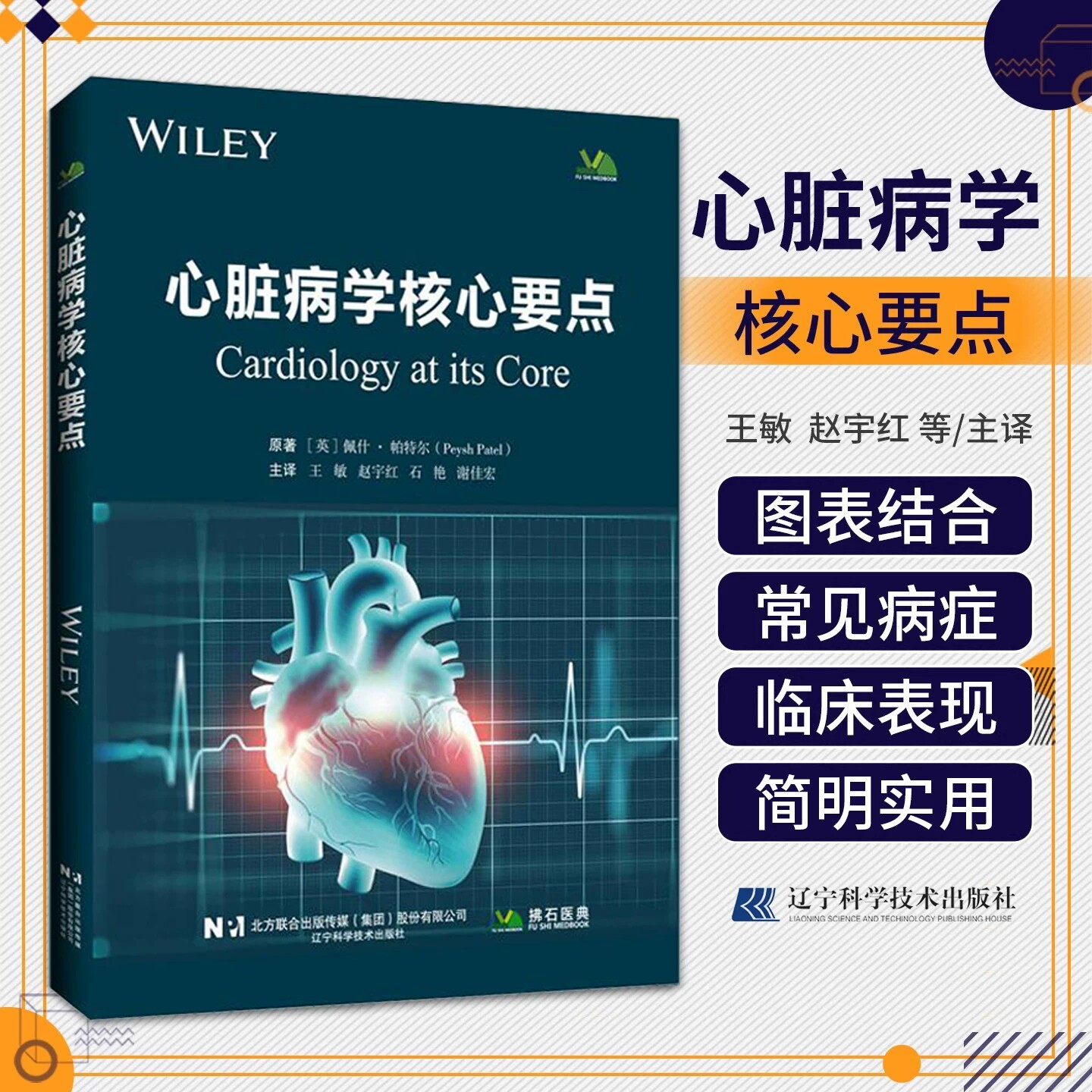 心脏病学核心要点 王敏 赵宇红 石艳 谢佳宏 主译 辽宁科学技术出版社9787559143914
