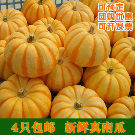 迷你桔瓜太阳果小南瓜金黄色金丝瓜新鲜真万圣节灯笼贝贝供佛观赏