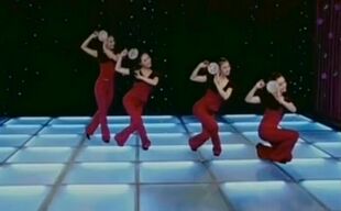 团团扇考级七级七级团团扇/满族/舞蹈扇/ 宫廷舞扇/舞蹈道具演出