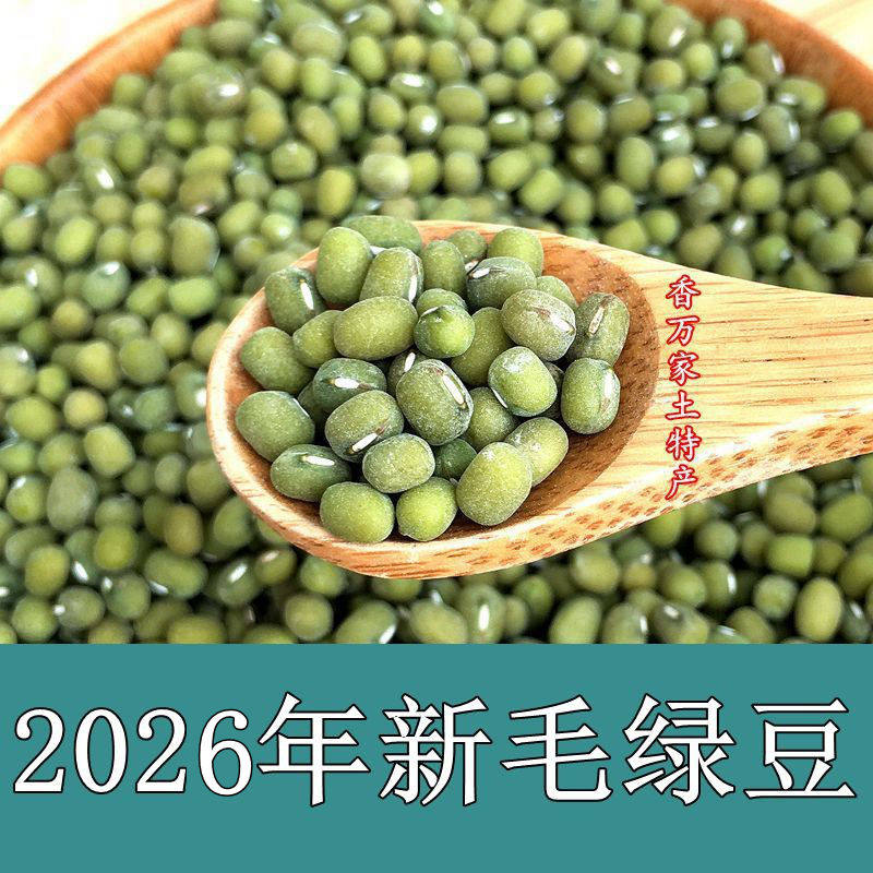 2026新毛绿豆老品种发豆芽绿豆汤