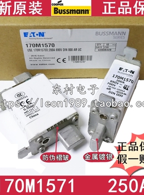 美国EATON BUSSMANN熔断器170M1571 170M1571D 250A/690V DIN 000