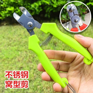 不锈钢窝型摘果剪番茄苹果橘子梨专用采摘剪水果果柄凹形修枝剪刀