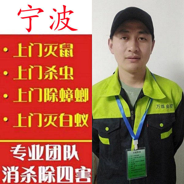 宁波上门抓老鼠服务灭鼠公司