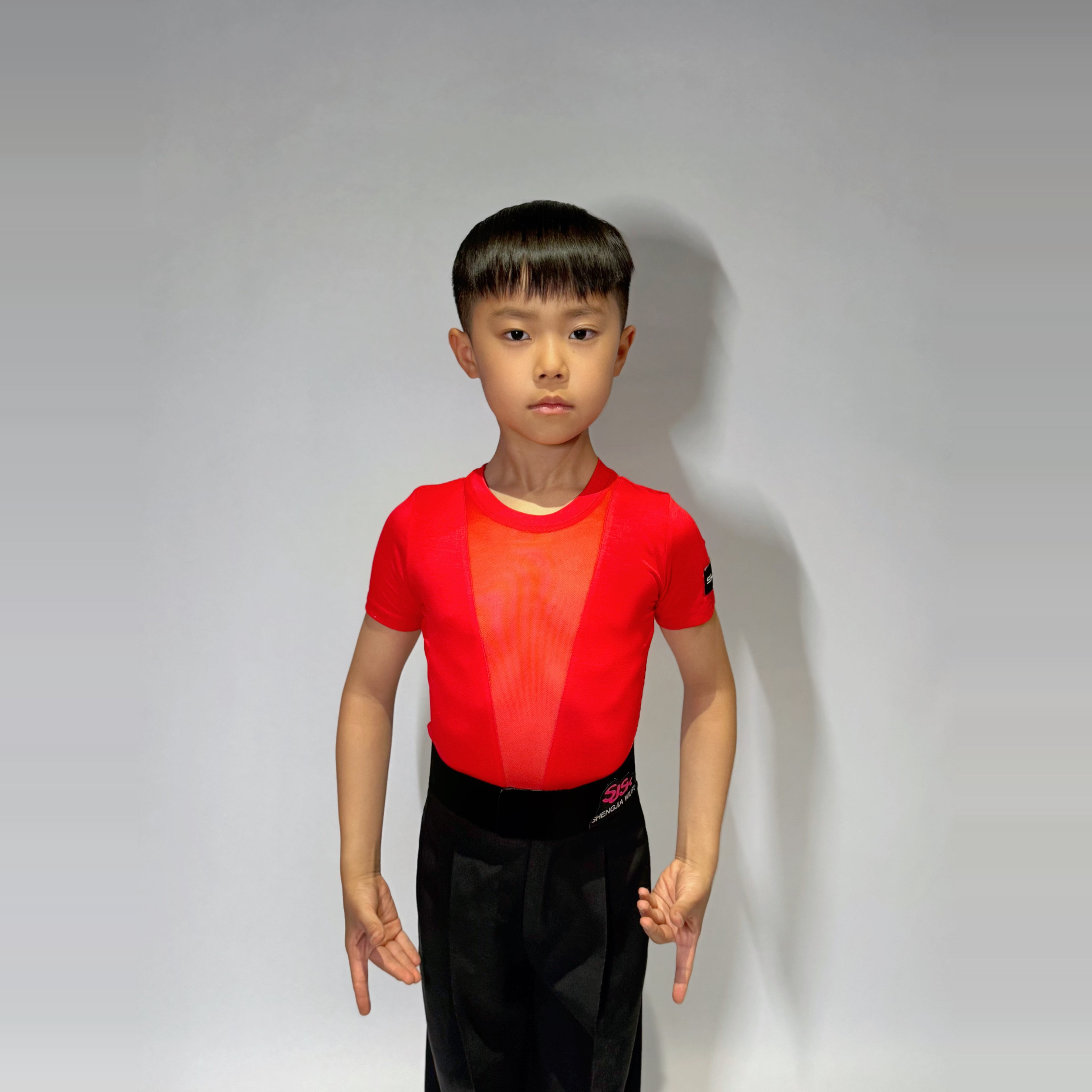 盛佳舞服SJSK男生拉丁舞拼接网纱拼接短袖训练服上衣