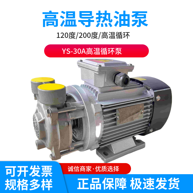 高温导热油泵模温机全铜马达