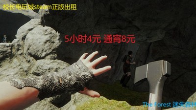 steam正版游戏租号The Forest 迷失森林 恐怖森林 国区帐号出租