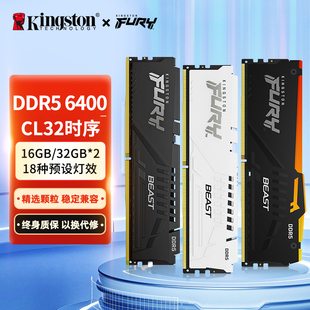DDR5台式 叛逆者 机内存条6400超频海力士 野兽 金士顿骇客神条