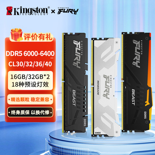 金士顿野兽系列ddr5台式机内存