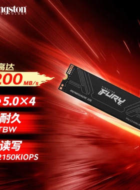 金士顿官方旗舰店 叛逆者SSD固态硬盘 M.2接口(NVMe PCIe 5.0×4)