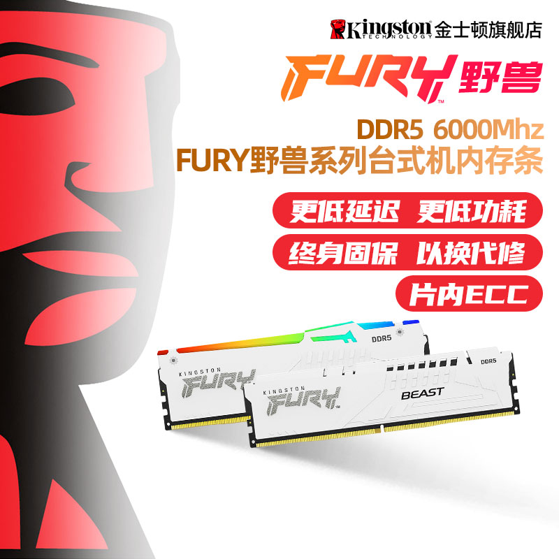 金士顿DDR5台式机马甲6000内存条