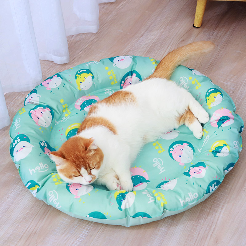 猫垫子睡觉用夏季不粘毛凉垫猫凉席降温睡垫猫咪冰窝夏天宠物冰垫在类目 宠物/宠物食品及用品, 猫/狗日用品, 床/垫/沙发（新）, 垫子中 - 来自Buy2taobao.com提供专业的淘宝代购服务