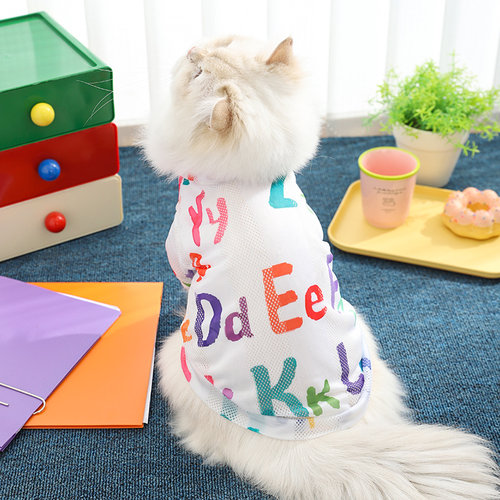 猫咪衣服防掉夏季背心神器英短