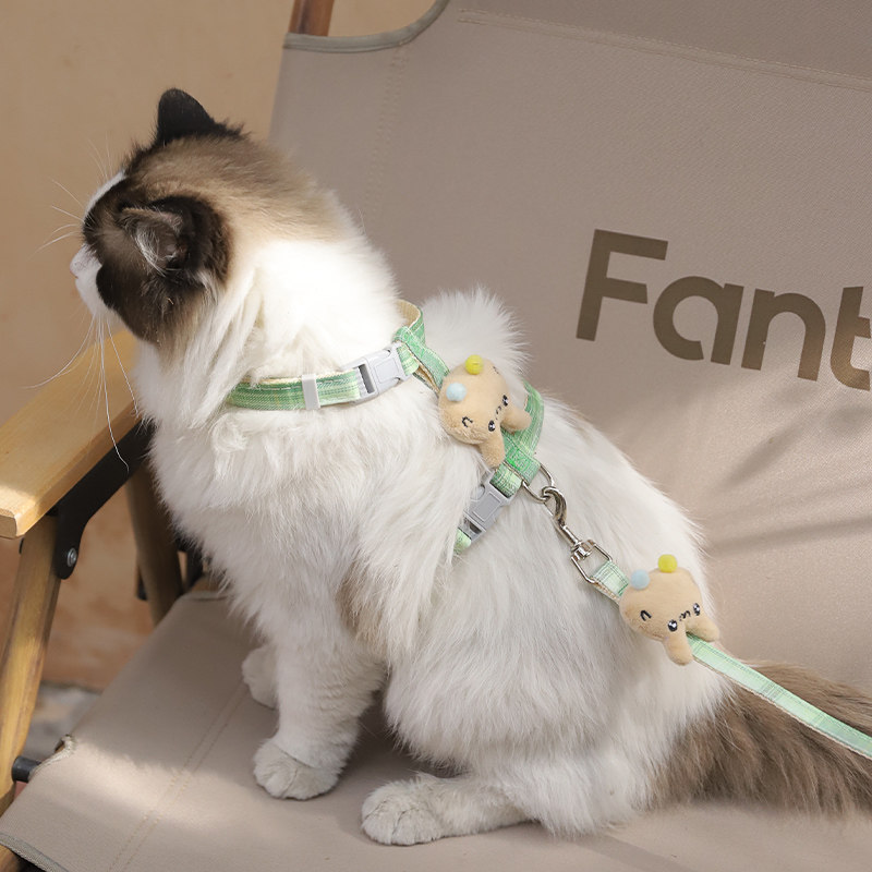 猫咪牵引绳防挣脱外出专用遛猫绳溜猫链子狗狗胸背带网红猫猫绳子