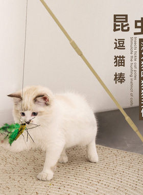 afp昆虫逗猫棒猫玩具自嗨解闷替换头长杆磨牙宠物小猫咪用品大全