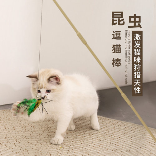 AFP宠物仿真昆虫系列逗猫棒