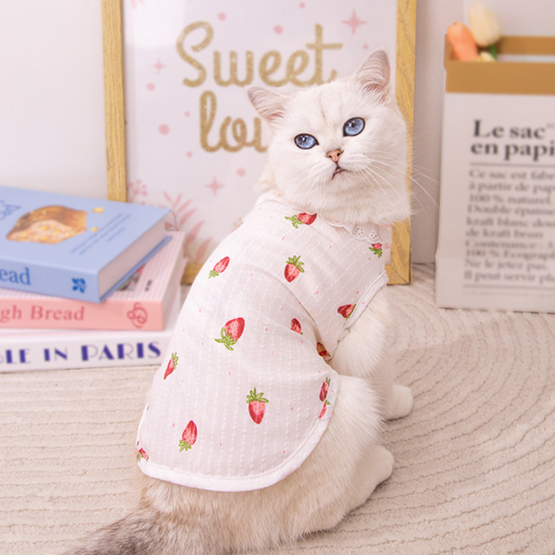 猫咪衣服防掉毛薄款春夏新款猫猫布偶小猫咪两脚背心夏天宠物裙子,宠物/宠物食品及用品,狗宠物服装/雨衣,淘宝优惠券,粉丝福利购,淘宝优惠卷