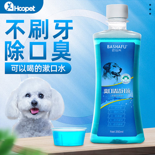 泰迪去牙结石猫咪除臭神器狗狗