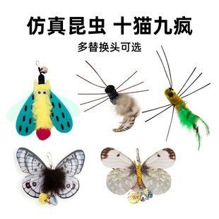 afp昆虫逗猫棒猫玩具自嗨解闷神器替换头宠物小猫咪消耗体力用品