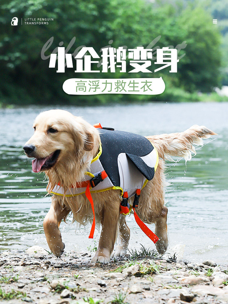 狗狗救生衣夏季宠物狗柯基衣服拉布拉多游泳衣金毛夏天浮力衣泳圈