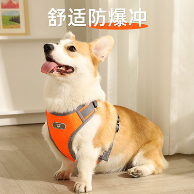 HOOPET大狗胸背带牵引绳中型犬