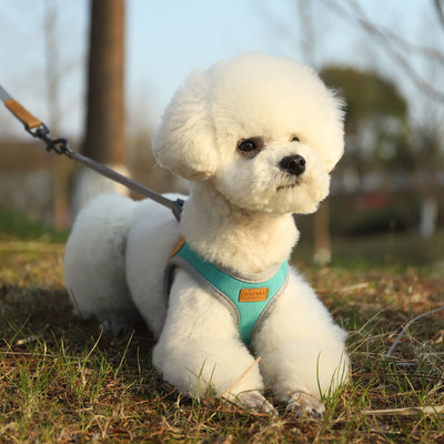 狗狗牵引绳背心式猫咪胸背带中小型犬泰迪遛狗绳狗链子外出防挣脱