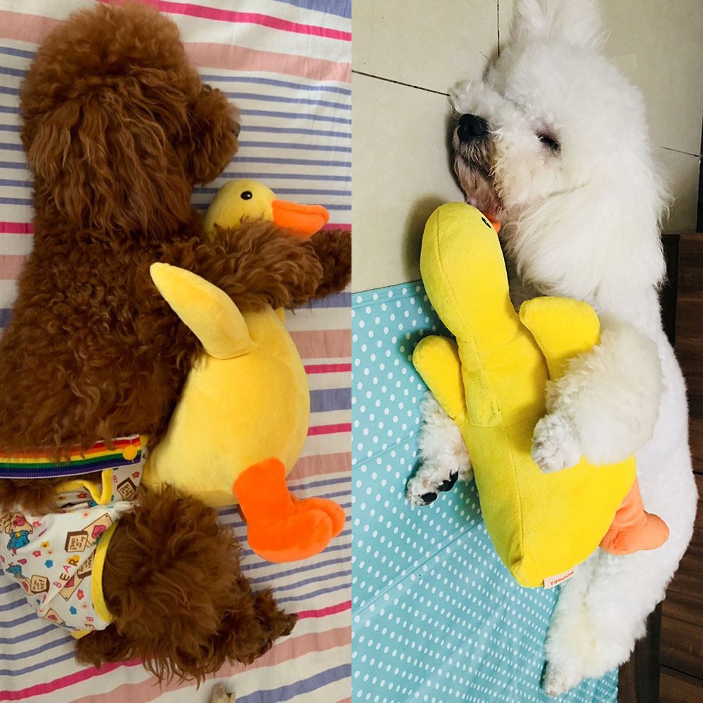 Dogs Toys Boredom Artifact Vocalization Vent Molar Puppy Puppies Teddy Corgi Shiba Inu Golden Retriever Petsin the Pet/Pet food and supplies , Cat/Dog Toys , Sound toys  category - from Buy2taobao.com to provide professional Taobao agent buy service