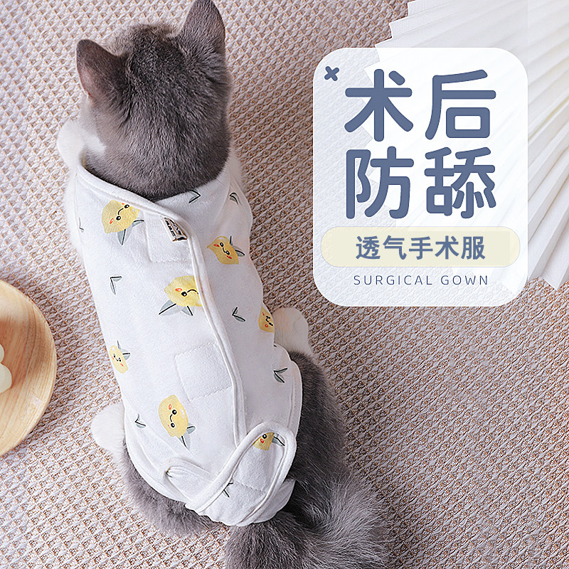 猫咪绝育服母猫手术衣服宠物猫猫小猫断奶服防舔防掉毛术后节育服